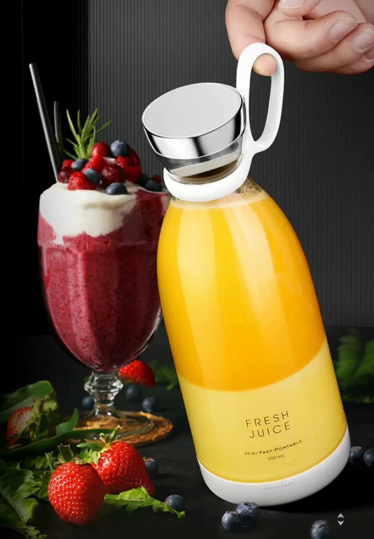 Portable Electric Blander Fruit Mixer