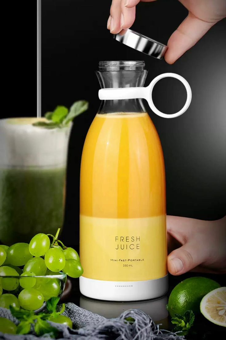 Portable Electric Blander Fruit Mixer