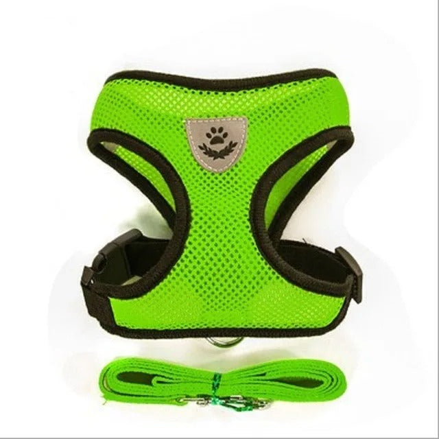 Cat Dog Strap