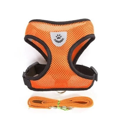 Cat Dog Strap